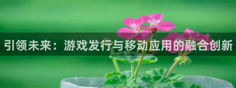 pp电子电子商务有限公司怎么样啊：引领未来：游戏发行与移动应用的融合创新