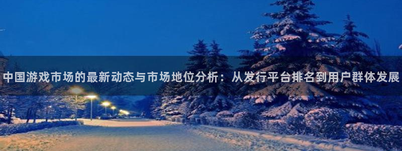 陕西pp电子子文化创意有限公司是做什么的：中国游戏市场的最新动态与市场地位分析：从发行平台排名到用户群体发展