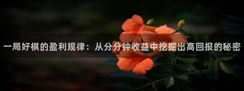 pp电子官网游戏平台介绍：一局好棋的盈利规律：从分分钟收益中挖掘出高回报的秘密
