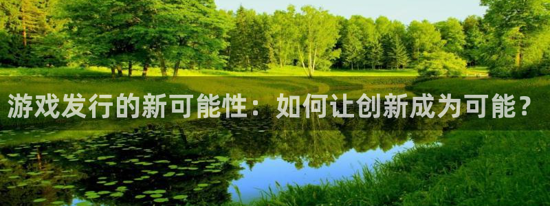 pp电子官网注册平台是什么意思：游戏发行的新可能性：如何让创新成为可能？