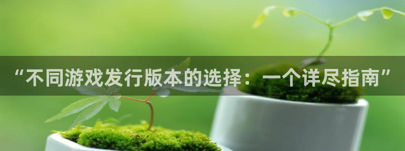 pp电子品牌logo：“不同游戏发行版本的选择：一个详尽指南”