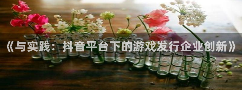 陕西pp电子子文化创意骗局：《与实践：抖音平台下的游戏发行企业创新》