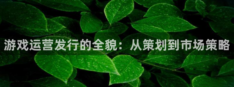 pp电子官网下载分分彩