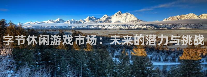 pp电子注册开户：字节休闲游戏市场：未来的潜力与挑战