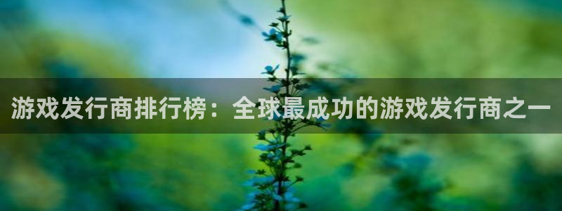pp电子官网平台是骗局吗