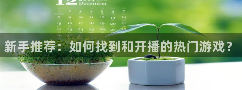 pp电子官网平台代理条件是什么
