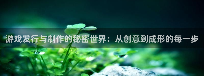 pp电子电子商务有限公司：游戏发行与制作的秘密世界：从创意到成形的每一步