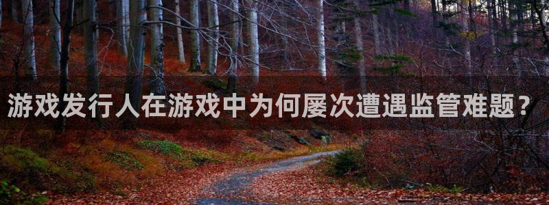 pp电子官网注册平台怎么注册不了：游戏发行人在游戏中为何屡次遭遇监管难题？