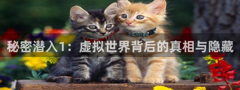 pp电子官网登录注册账号安全吗：秘密潜入1：虚拟世界背后的真相与隐藏