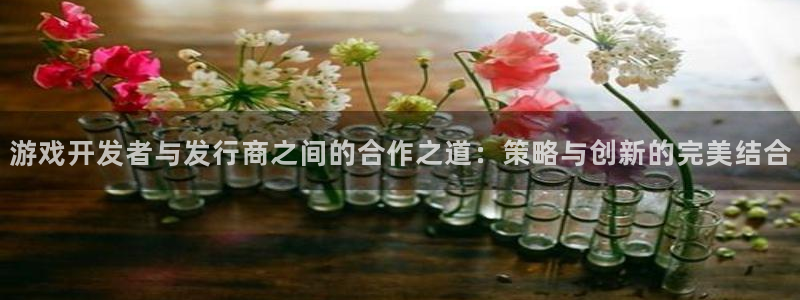 pp电子官网注册平台登录入口：游戏开发者与发行商之间的合作之道：策略与创新的完美结合