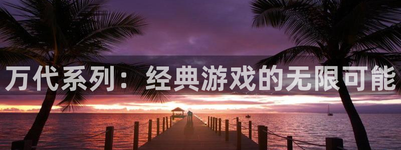 苏州pp电子网络科技有限公司