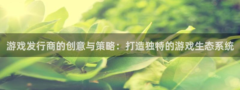 陕西pp电子子文化创意有限公司是做什么的：游戏发行商的创意与策略：打造独特的游戏生态系统