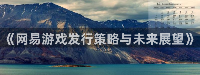 长沙pp电子子电子商务有限公司：《网易游戏发行策略与未来展望》