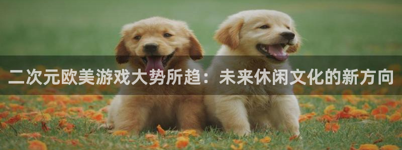 pp电子官网客服服务：二次元欧美游戏大势所趋：未来休闲文化的新方向